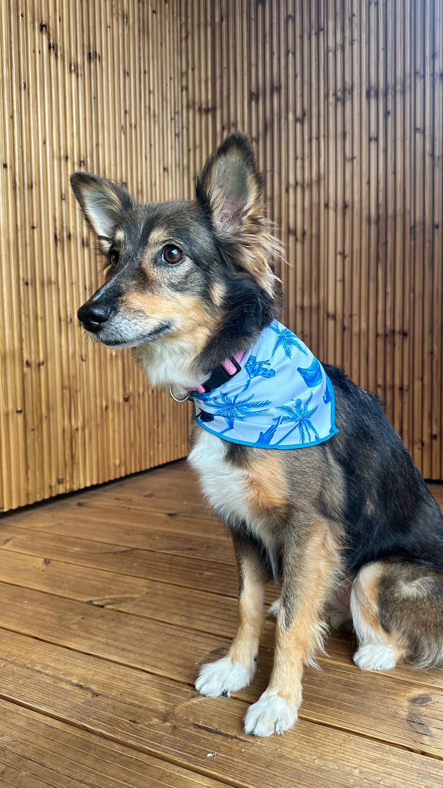 San Blas Dog Bandana