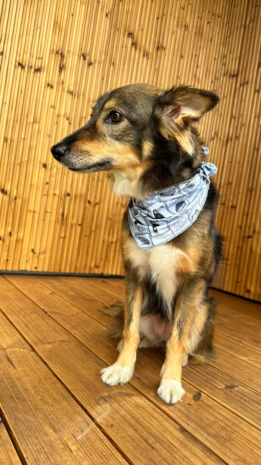 Bocas B&W Dog Bandana